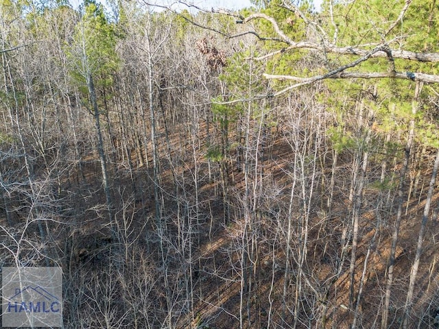 0 Dennis Creek Rd, Talbotton, GA 31827 - photo 12