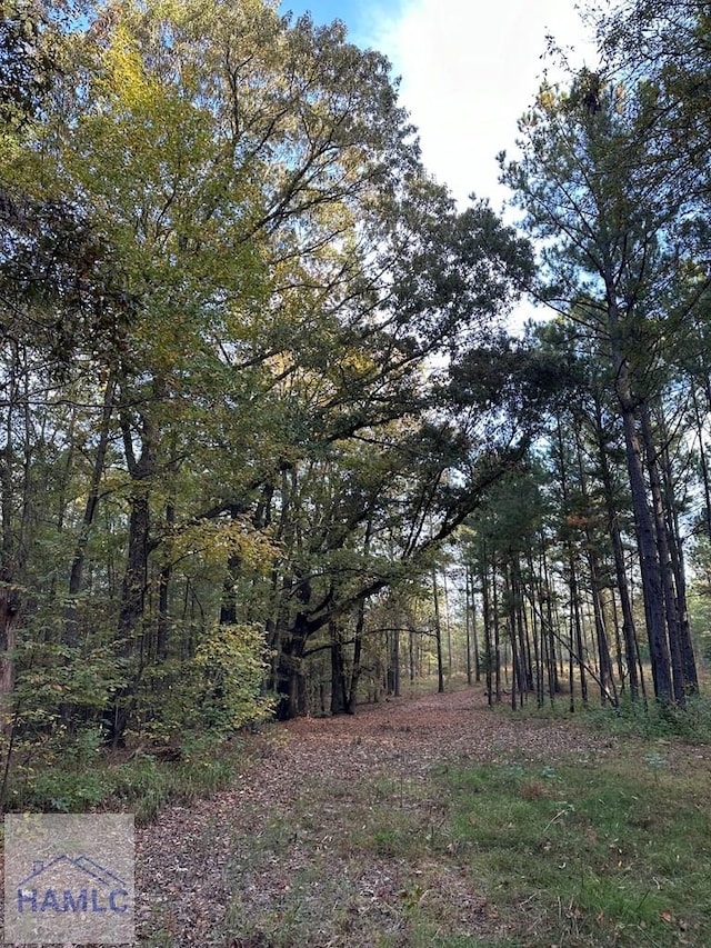 0 Dennis Creek Rd, Talbotton, GA 31827 - photo 35