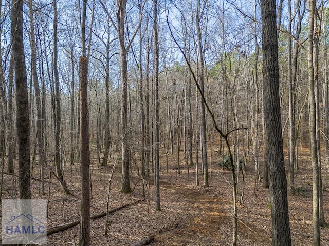 0 Dennis Creek Rd, Talbotton, GA 31827 - photo 10