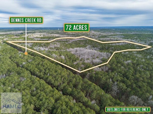 0 Dennis Creek Rd, Talbotton, GA 31827 - photo 1