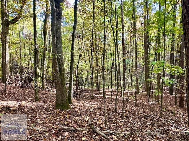 0 Dennis Creek Rd, Talbotton, GA 31827 - photo 50
