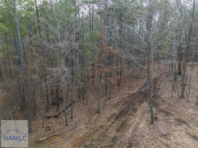 0 Dennis Creek Rd, Talbotton, GA 31827 - photo 9
