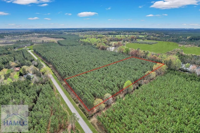 0 Oquinn Loop, Odum, GA 31555 - photo 3
