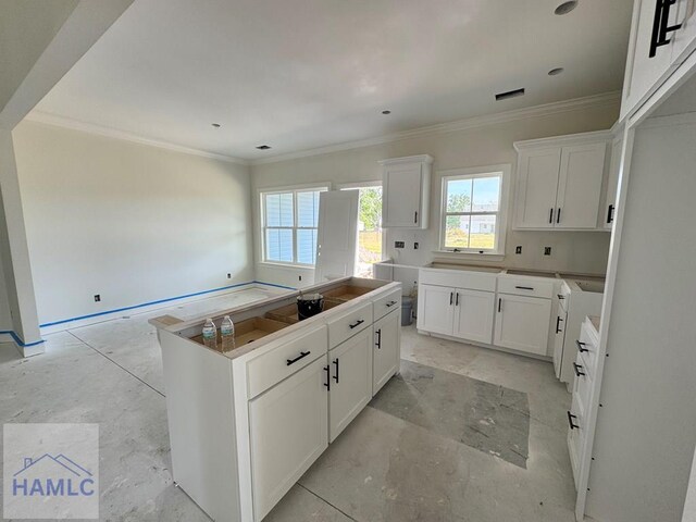47 Ennis Rd, Pembroke, GA 31321 - kitchen featuring ornamental molding, a center island, and white cabinetry