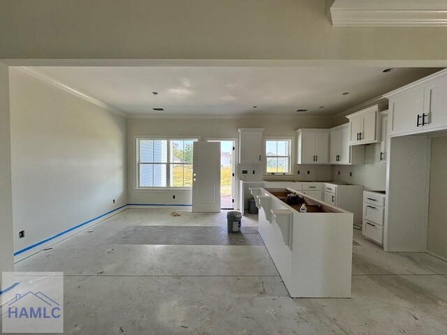 47 Ennis Rd, Pembroke, GA 31321 - kitchen with ornamental molding, a center island, white cabinets, and concrete flooring