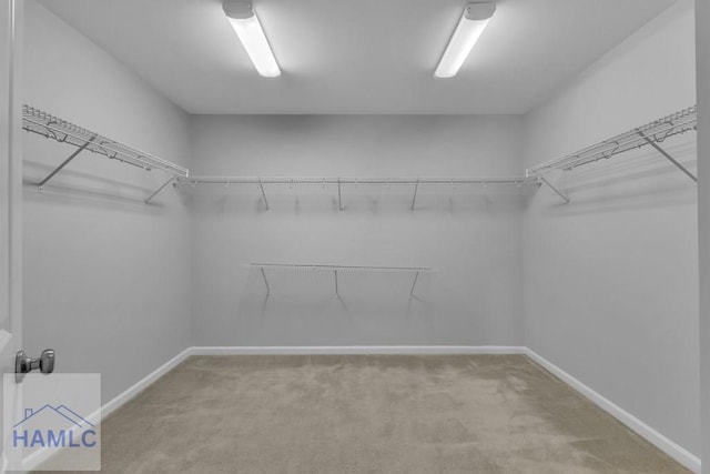 walk in closet with carpet