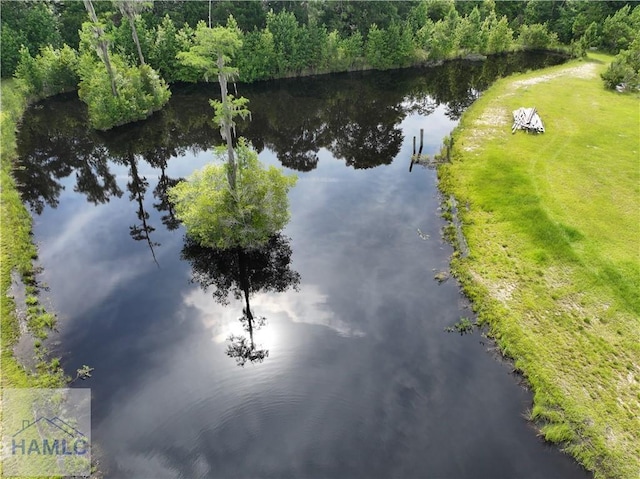 0 Rogers Break Rd, Jesup, GA 31546 - photo 3