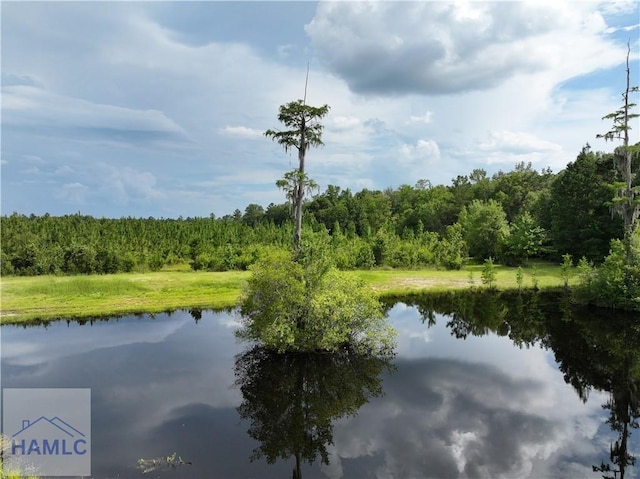 0 Rogers Break Rd, Jesup, GA 31546 - photo 2