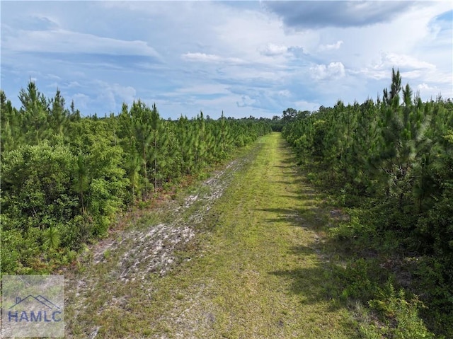 0 Rogers Break Rd, Jesup, GA 31546 - photo 4