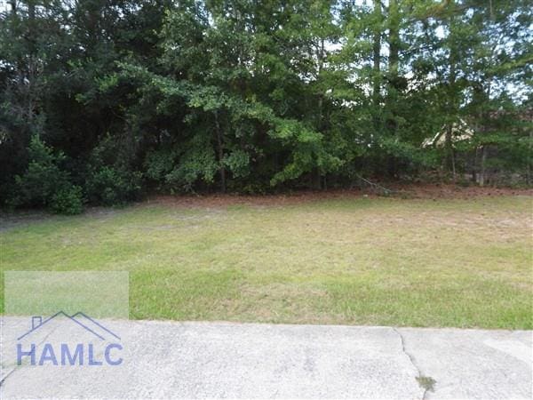 1111 Apache Aly, Hinesville, GA 31313 - photo 11