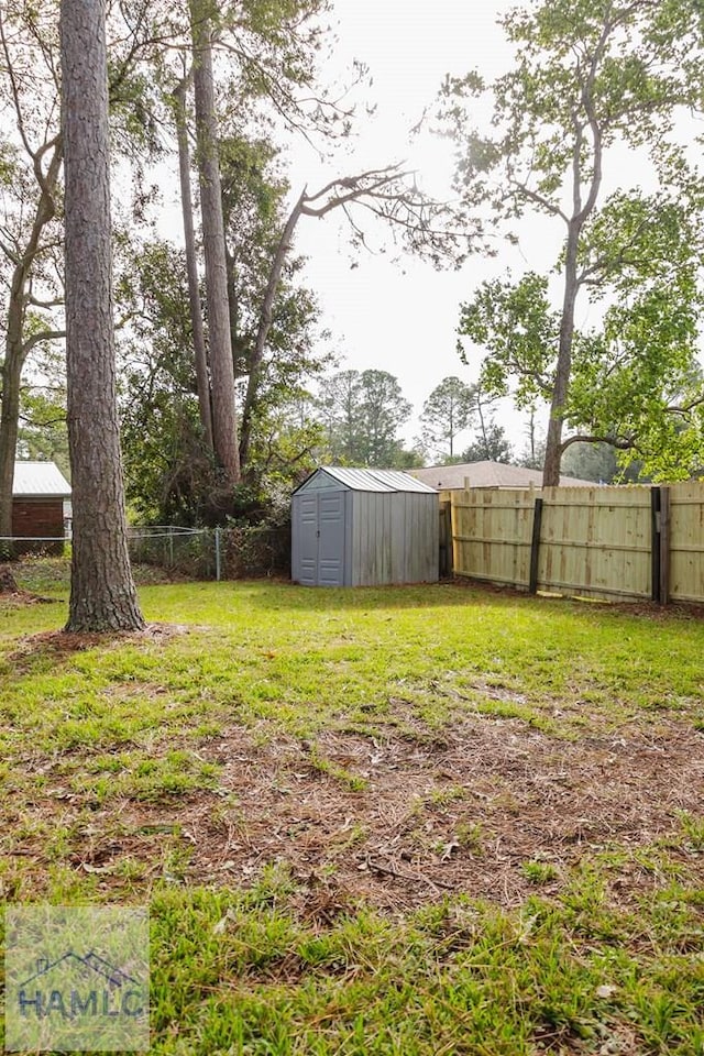 view of yard with a storage shed