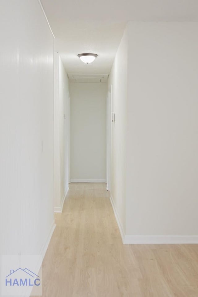 hallway featuring light hardwood / wood-style flooring