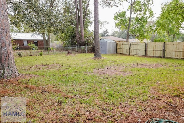 view of yard featuring a storage shed