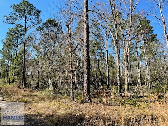 0 Northview Dr, Jesup GA, 31545 land for sale