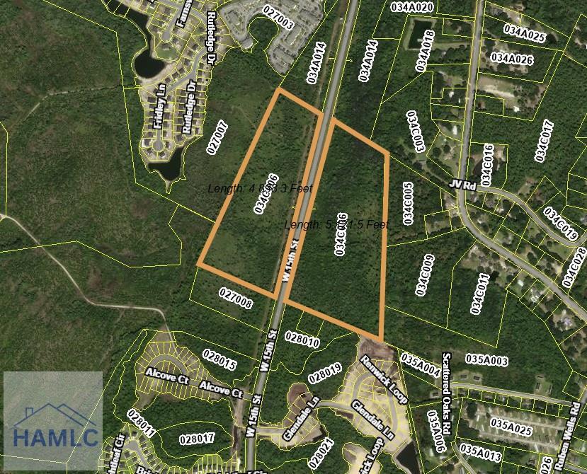 56.16AC W 15th St, Hinesville, GA 31313 - photo 1