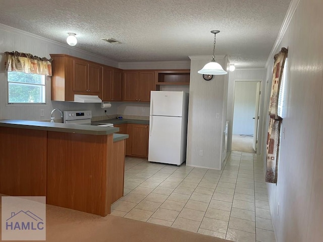 59 Enoch Moody Rd, Screven, GA 31560 - photo 10