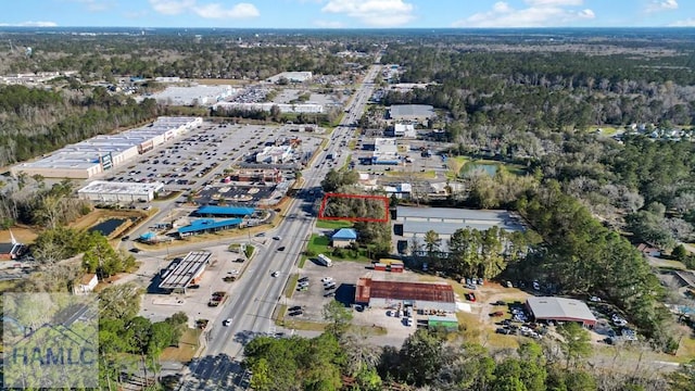 832 W Oglethorpe Hwy, Hinesville, GA 31313 - photo 8
