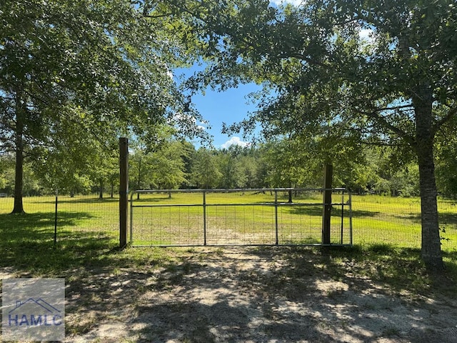 195 Mollie Bowen Ln, Cobbtown, GA 30420 - photo 44