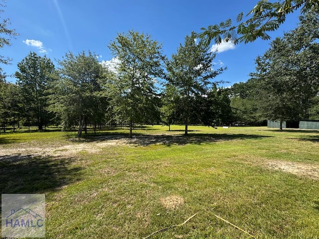 195 Mollie Bowen Ln, Cobbtown, GA 30420 - photo 46