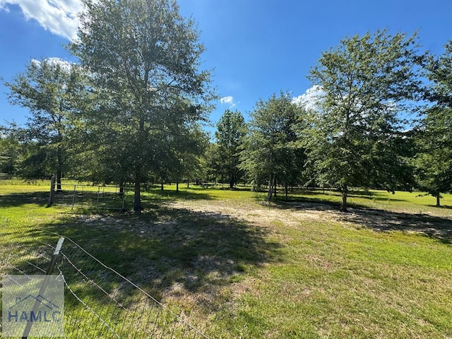195 Mollie Bowen Ln, Cobbtown, GA 30420 - photo 45