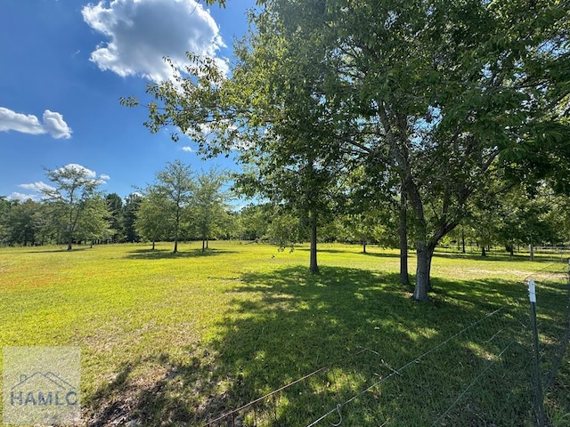 195 Mollie Bowen Ln, Cobbtown, GA 30420 - photo 43
