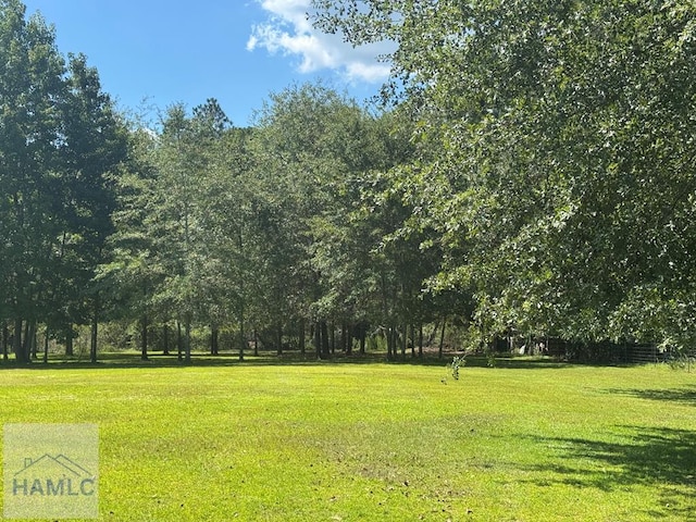 195 Mollie Bowen Ln, Cobbtown, GA 30420 - photo 39