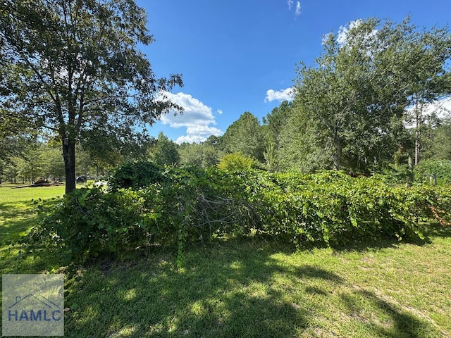 195 Mollie Bowen Ln, Cobbtown, GA 30420 - photo 37