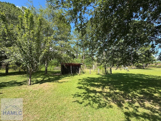 195 Mollie Bowen Ln, Cobbtown, GA 30420 - photo 42