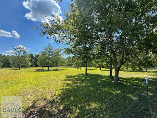 195 Mollie Bowen Ln, Cobbtown, GA 30420 - photo 41
