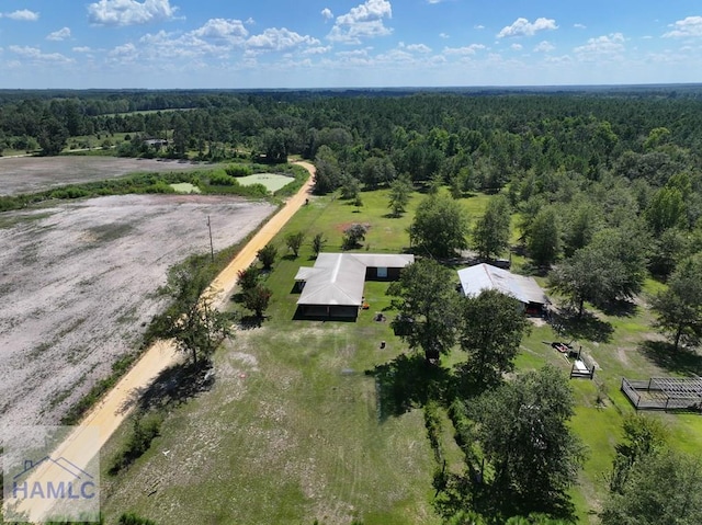 195 Mollie Bowen Ln, Cobbtown, GA 30420 - photo 2