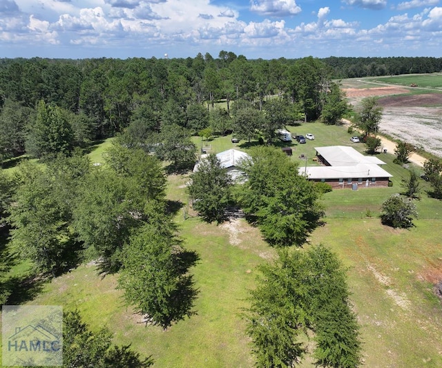 195 Mollie Bowen Ln, Cobbtown, GA 30420 - photo 3
