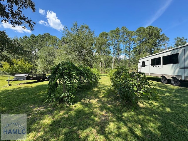195 Mollie Bowen Ln, Cobbtown, GA 30420 - photo 38