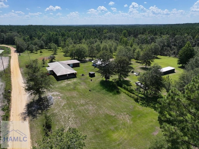 195 Mollie Bowen Ln, Cobbtown, GA 30420 - photo 9