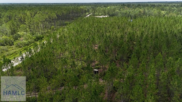 0 Firetower Rd, Manor, GA 31550 - photo 5