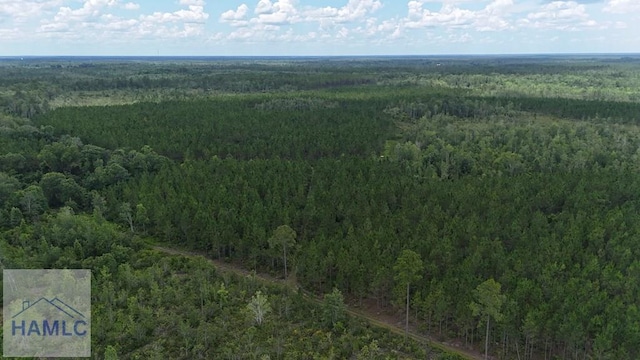 0 Firetower Rd, Manor, GA 31550 - photo 3