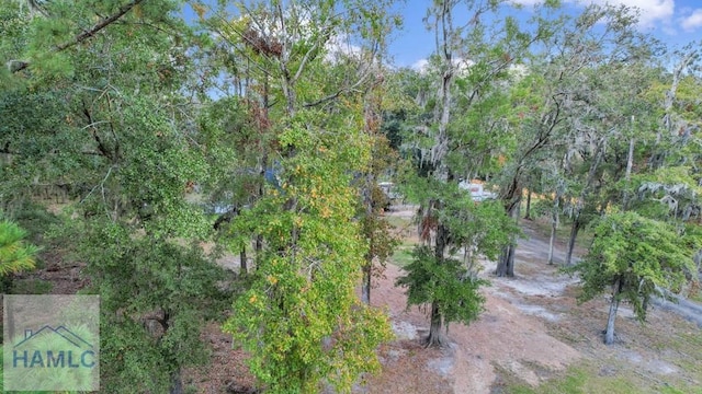 72 Big Oak Rd, Riceboro, GA 31323 - photo 90