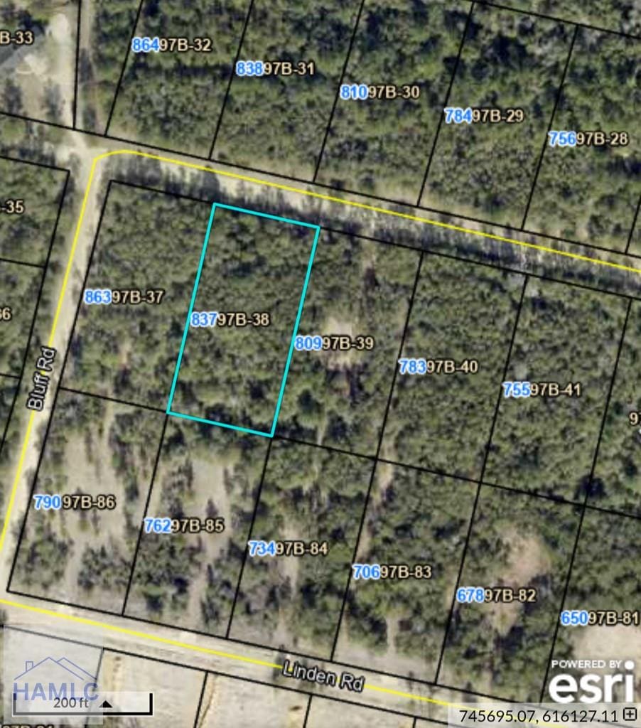 837 Bluff Rd, Jesup, GA 31545 - photo 3