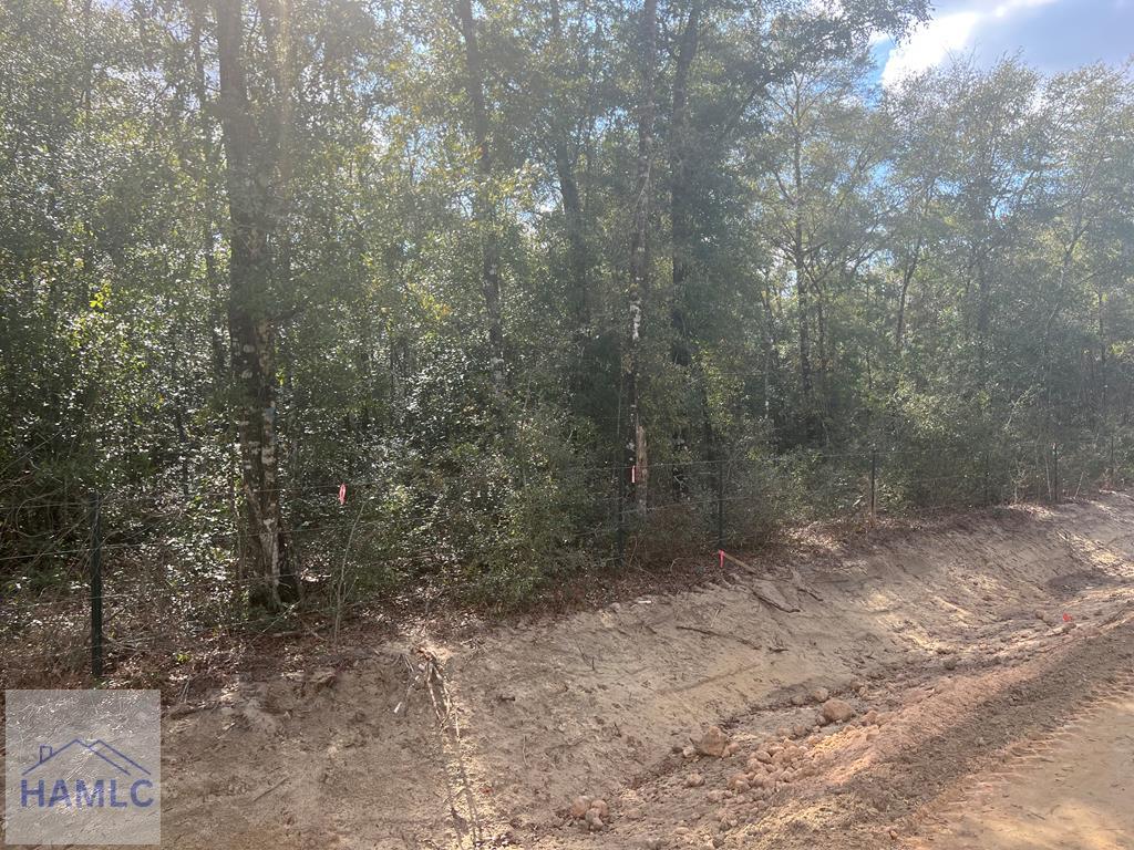 837 Bluff Rd, Jesup, GA 31545 - photo 1