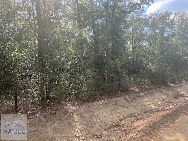 837 Bluff Rd, Jesup, GA 31545 - photo 1