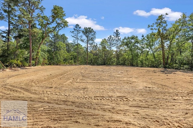 597 Nebraska Rd, Screven, GA 31560 - photo 32