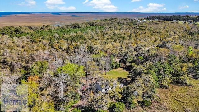 38 Billy Harris Pt, Midway, GA 31320 - photo 62