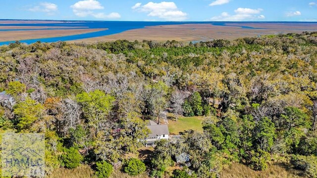 38 Billy Harris Pt, Midway, GA 31320 - photo 63