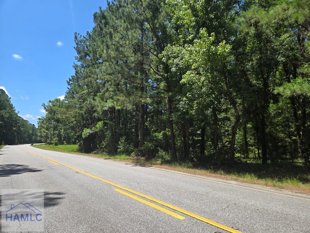 1ACRE Ga Highway 251, Townsend, GA 31331 - photo 5