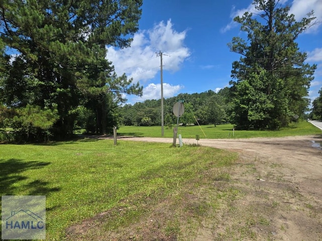 1ACRE Ga Highway 251, Townsend, GA 31331 - photo 2