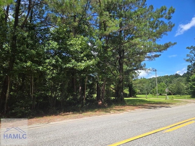 1ACRE Ga Highway 251, Townsend, GA 31331 - photo 4