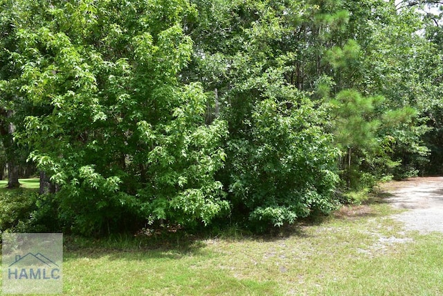 LOT34 Azalea Dr, Midway, GA 31320
