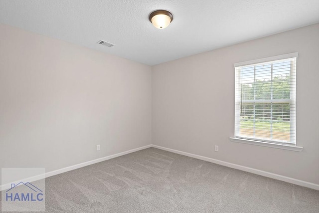 186 Turpentine Trl, Hinesville, GA 31313 - photo 30