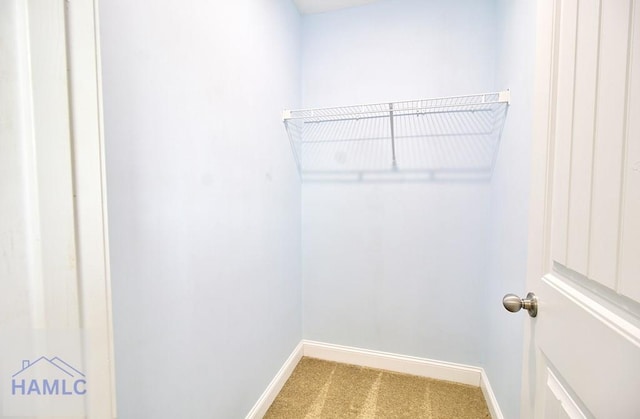 spacious closet featuring carpet flooring