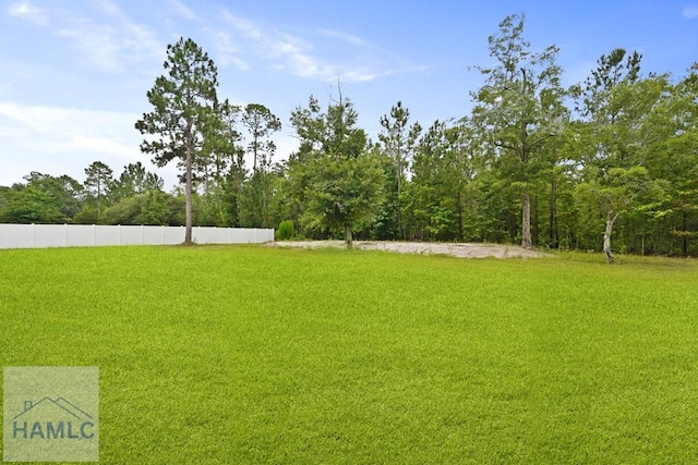 172 Taylors Creek Dr, Ludowici, GA 31316 - photo 45