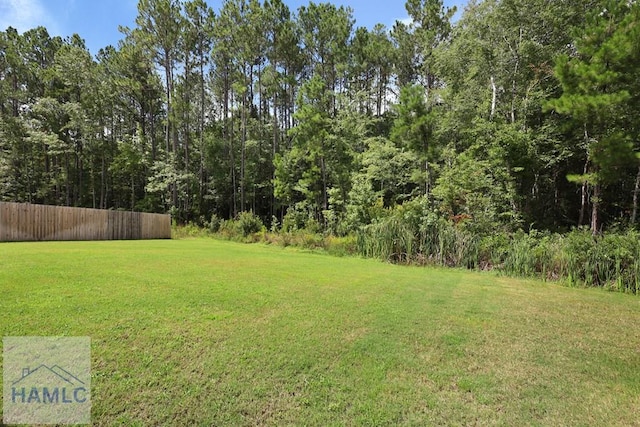 11 Herty Ln, Hinesville, GA 31313 - photo 35
